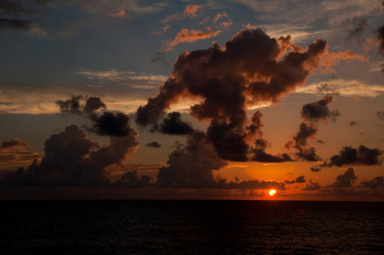 Deserted Islands & Jungle Romance